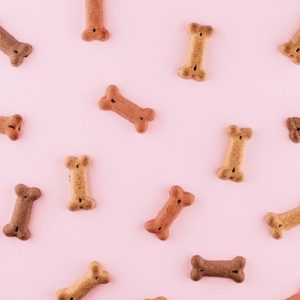 Adult Dry Dog Food