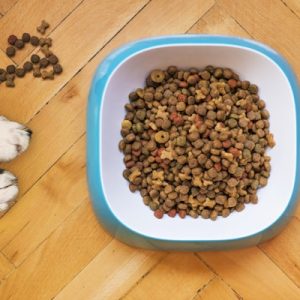 Mini Adult Dog Food