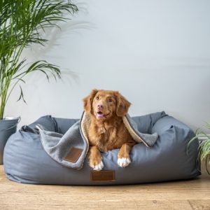 Dog Grooming Kit