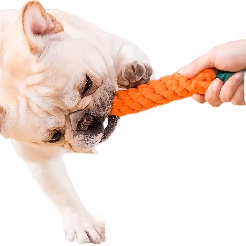 Interactive Durable Carrot-Shaped Dog Toy with Tassel - Image 2
