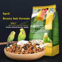 Bulk bird food, parrot feed, sunflower oil bird feed, parrot food, bird food, bird food feeding