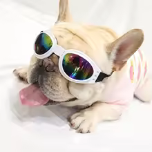 Adjustable UV Protection Dog Goggles for Small & Large Dogs                                                                                                                `