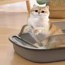 Semi-Closed Cat Litter Box with Scoop