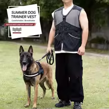 Lightweight dog training vest with multiple bite-resistant pockets for spring and summer training.