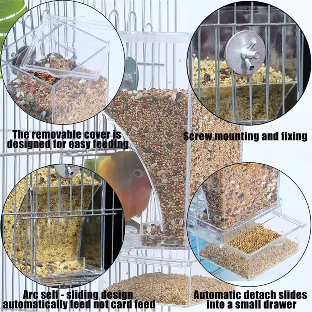 Transparent Anti-Spill Parrot Feeder Box for Birds - Image 3