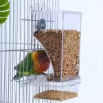 Transparent Anti-Spill Parrot Feeder Box for Birds