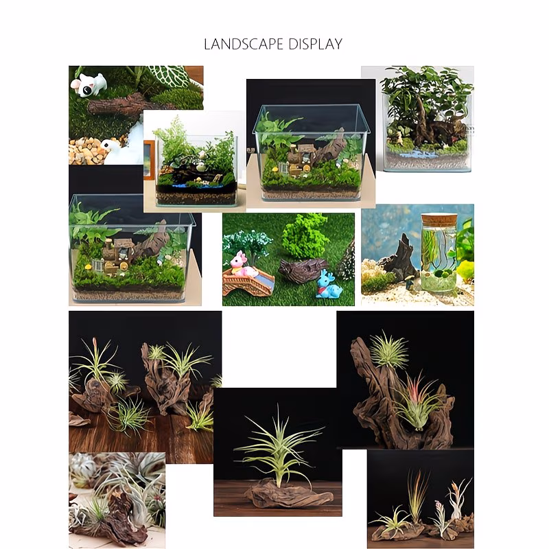 Natural Aquarium Driftwood (9-Pack) – Decorative Wood for Fish Tanks & Aquariums - Image 2