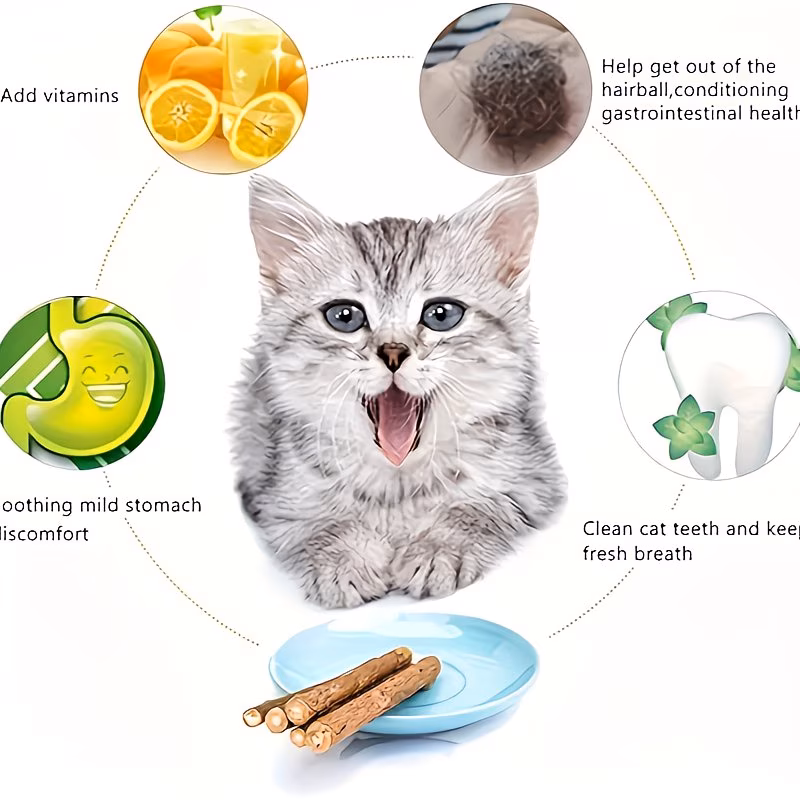 40PCS Natural Cat Chew Sticks – Silvervine & Catnip Chew Toys for Teeth Cleaning, Dental Care & Stress Relief - Image 4