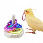 Bird Ring Toss Toy – Interactive Foraging & Training Toy for Small Birds