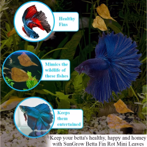 Natural Aquarium Leaves for Betta Fish & Shrimp
