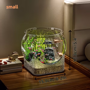 Small Glass Fish Bowl Aquarium – Decorative Tank for Betta Fish & Aquatic Plants